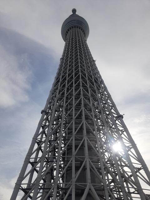 E382B9E382ABE382A4E38384E383AAE383BCE79C9FE4B88B.jpg