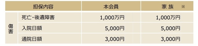 国内旅行（利用付帯）.jpg