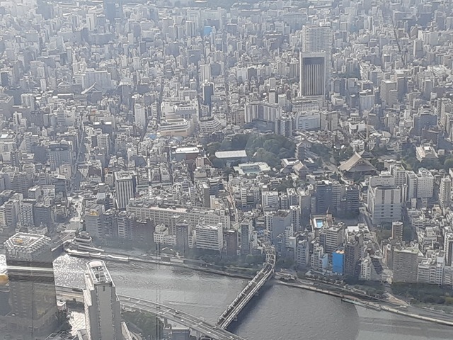 浅草方面.jpg