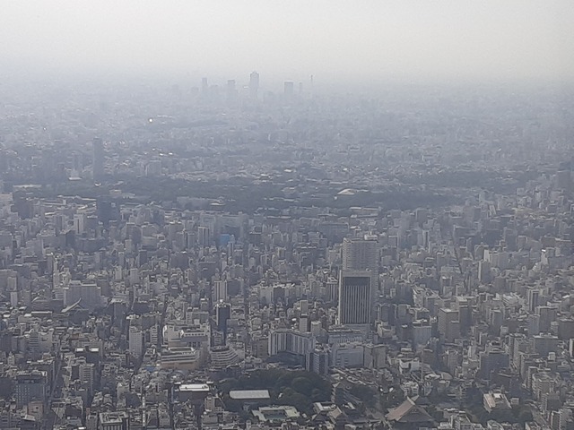 都庁方面.jpg